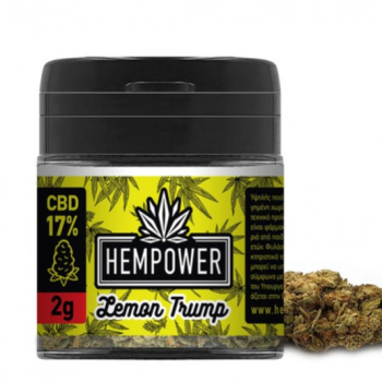 Hempower, 17% CBD, Lemon Trump, 2g | CBD Product | Herbalista