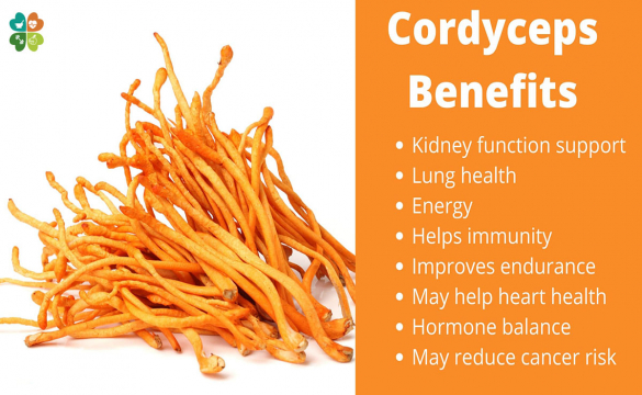 6 Science Backed Benefits Of Cordyceps 