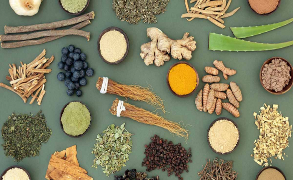 Adaptogens: What They Are And How They Improve Your Focus & Energy