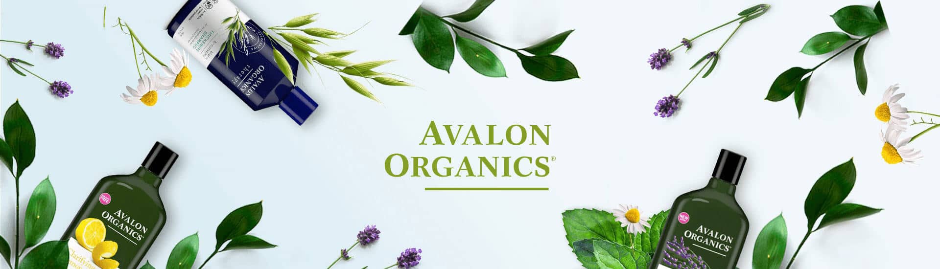 Avalon Organics Hair Body and Skin Care